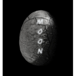 Moon Eggs Productions
