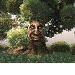 JoyTree Pirates