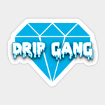 {Drip Gang}