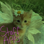 feral felines staff apps!