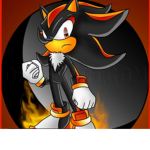 Shadow the hedgehog's group