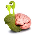 Slowbrain Studios
