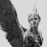 𝐇𝐀𝐕𝐄 𝐍𝐎