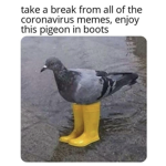 Be careful group