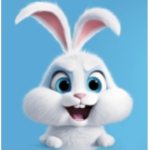 kitty end bunny