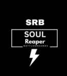 Soul Reaper Group