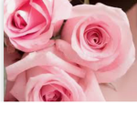 Floral life