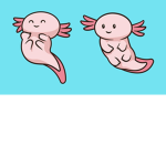 Axolotl world group