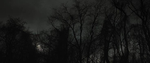 rizzlerrr Group Thumbnail