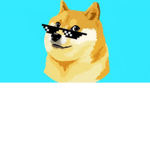 Doges123456
