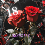 |18|