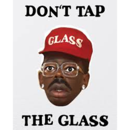 DONT TAP THE GLASS OBBY