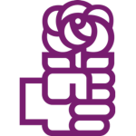 The Albanian socialist party