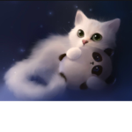 Cat fam club