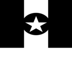 The black panther republic