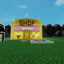 mohsinwede Hat Store!