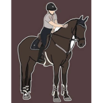 Heidi’s Riding Academy
