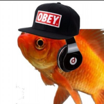 anonymous goldfish