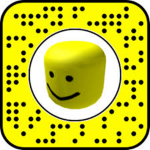 ROBLOX Fans ;D