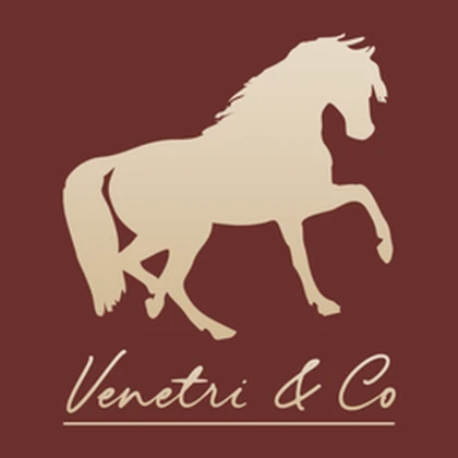 Venetri Roblox group icon