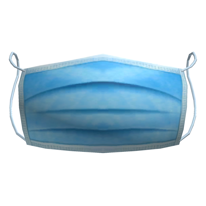 Face Mask