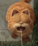 Derp y Cats United