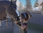 : : oak hood stables : :