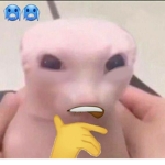 후드 디바