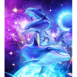 DreamyDolphins