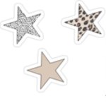 ⋆ zoe’s angels ⋆