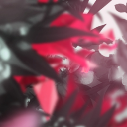 🃏*-Y