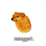 Numggets united