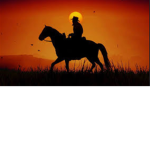 Country clan COWBOYS ONLY or not