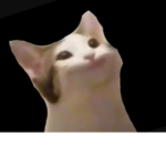 CAT KINGS!!!!