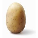 potat o corporation