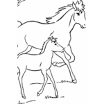 +* lemon tree stables *+