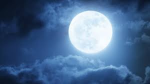 MoonCraft group