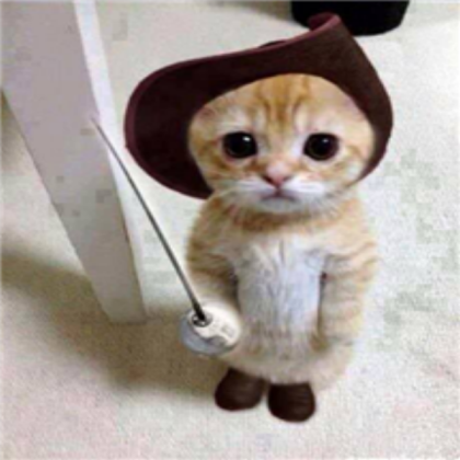 cat Roblox decal