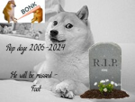 Da doge so pro