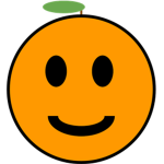 Find The Oranges