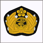 대한제국 해군ㅣImperial Korean Navy