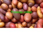 Potatoes united'