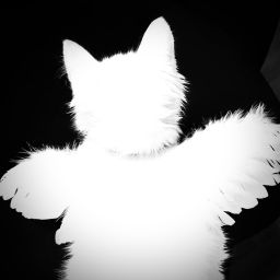 𝐨𝐯𝐞𝐫