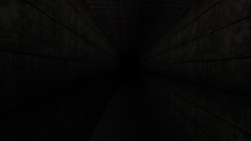 the endless hallway