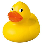 THE EPIC DUCK FANS ;D