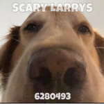 Scary Larrys