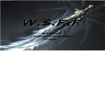 Warrior Sword Fighters Force