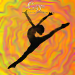 Gsga Golden Stars Gymnastics Academy