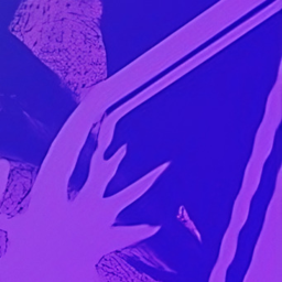 ✦