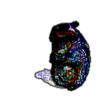 Sleep Paralysis Demon Chomik